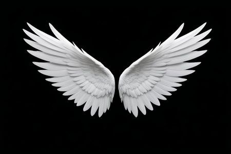 White wing design elementsの素材