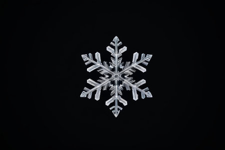 Macro Close-up Snowflake Patternの素材