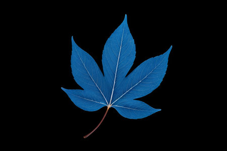 Close-up of blue maple leavesの素材