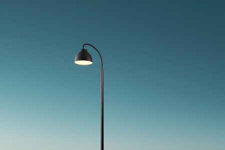 A single street light outdoors illuminates the skyの素材