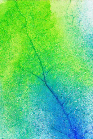 Close-up of colorful leaf vein textureの素材