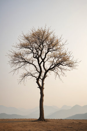Independent trees in the wilderness and distant mountain landscapesの素材