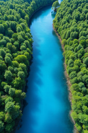 Aerial photography of the dense forest landscape on both sides of the riverの素材