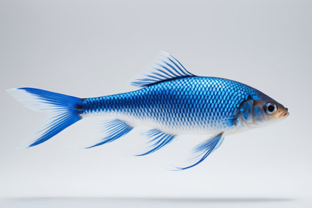 there is a blue fish that is floating in the airの素材