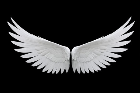 a close up of a white angel wings on a black backgroundの素材