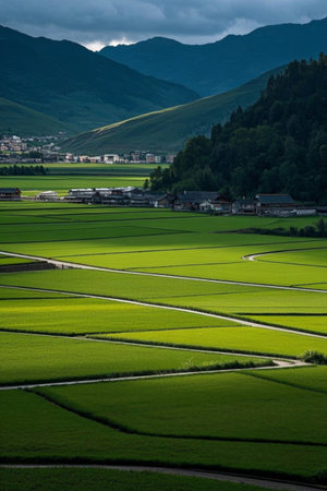 Rural rice fields and distant mountain villagesの素材