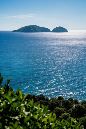 Sea Islands Natureの素材