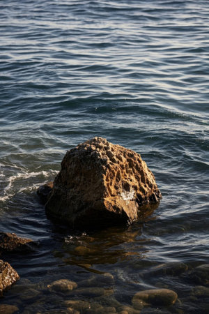 Seaside reef and wave sceneの素材