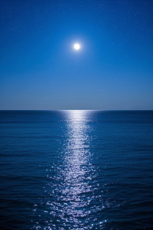 Panoramic view of the moonlit night at seaの素材