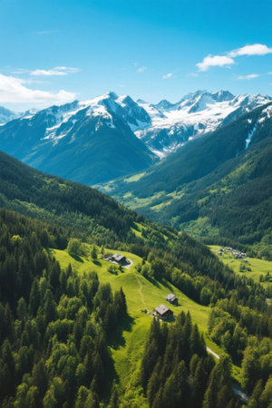 Aerial view of the natural scenery of alpine forestsの素材