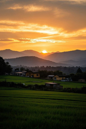 Sunset view of rural fieldsの素材