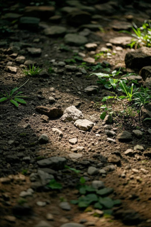 Outdoor dirt trails and green landscapesの素材