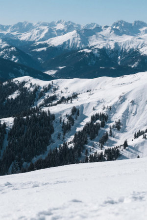 Snow Mountain Forest Natural Landscapeの素材