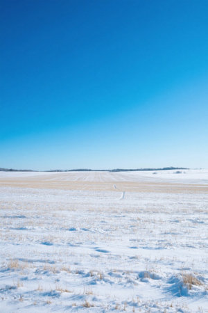 Open fields covered with winter snowの素材