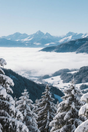 Snow Mountain Forest Sea of Clouds Natural Sceneryの素材