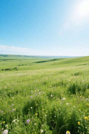 Grassland scenery under the sunの素材