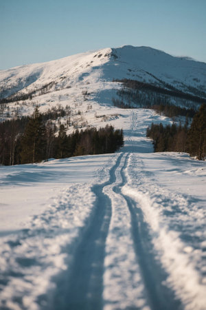 Snow Mountain Road Sceneryの素材