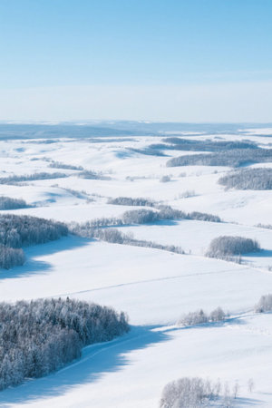 Overlooking the snowy plains in winterの素材