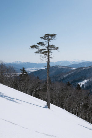 Lonely trees on the snowy slope and the snowy scenery of distant mountainsの素材