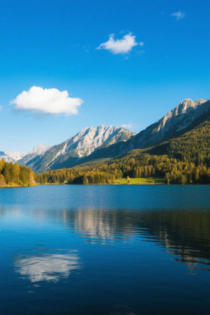 Landscape and forest scenery under blue sky and white cloudsの素材