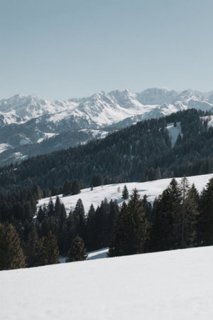 Snow Mountain Forest Outdoor Snow Sceneの素材