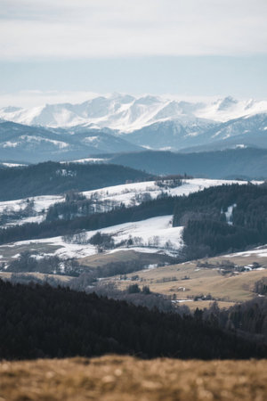 Snow Mountain Forest Scenic Spotsの素材