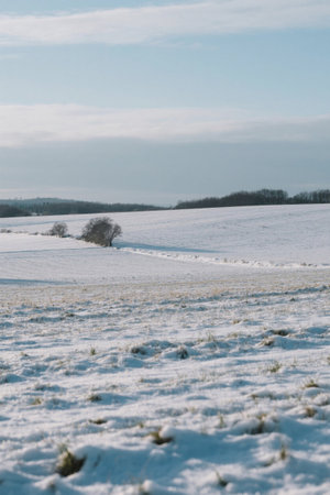 Open fields covered with winter snowの素材