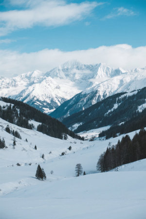 Snow Mountain Forest Winter Natureの素材