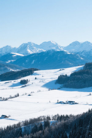 Winter forest and fields under the snow-capped mountainsの素材