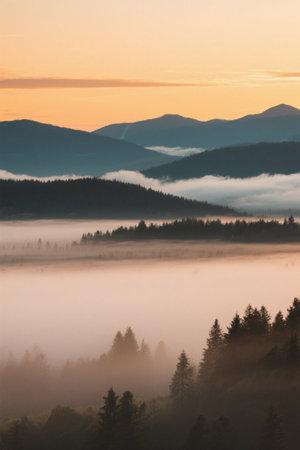 Mountain Forest Morning Mist Natural Sceneryの素材