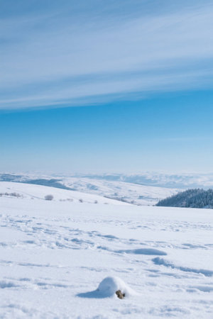 Snow-covered open mountains and blue skiesの素材