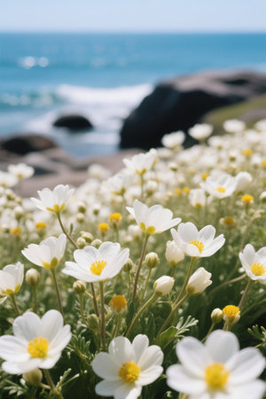 Small white flowers blooming on the beachの素材