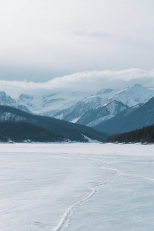 Snow and forest landscape under the snow-capped mountainsの素材