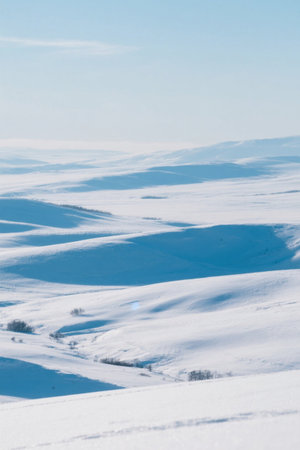 Winter snowfield nature sceneryの素材