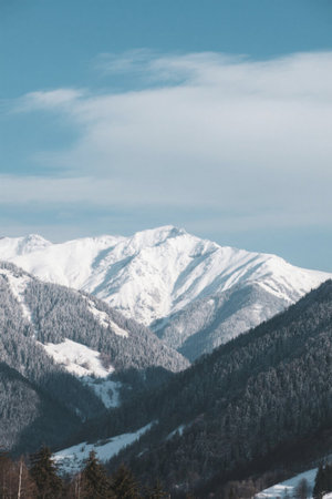Snow Mountain Forest Natural Landscapeの素材