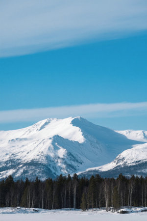 Snow Mountain Forest Snow Scene Natural Sceneryの素材