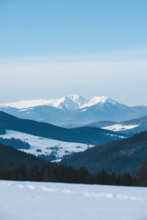 Snow Mountain Forest Snow Scenic Outdoor Sceneryの素材