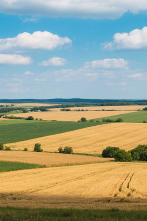 Panoramic view of rural scenery and farmlandの素材