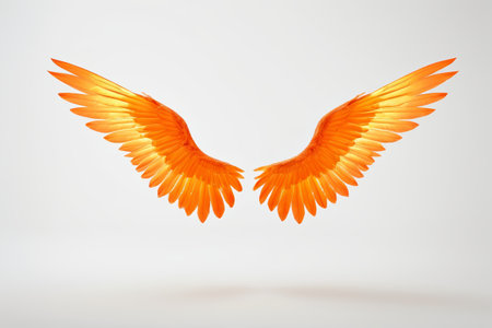 Orange Wings Close-up Materialの素材