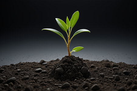 Young green plant seedlings emerging from the soilの素材
