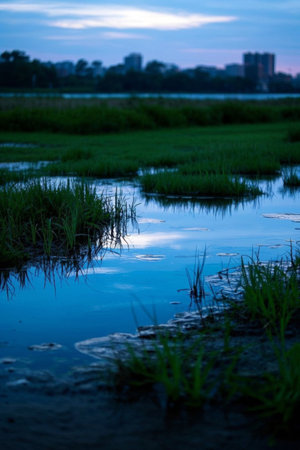 Dusk scenery of suburban wetlandsの素材