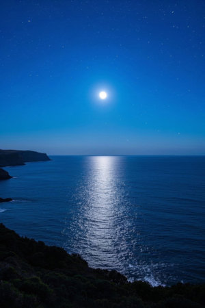 Ocean and coastline landscape on a moonlit nightの素材