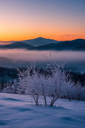 Winter mountain forest snow scene sunrise viewの素材