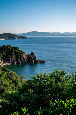 Coastal forest and rock landscapeの素材