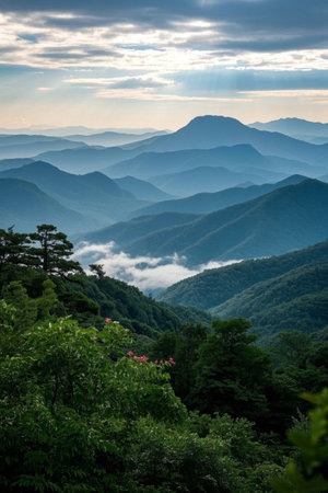 Natural scenery of mountains, sea of clouds and forestsの素材