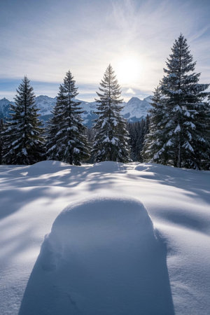 Winter snow mountain forest snow sceneryの素材
