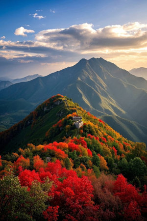 Colorful forest scenery in the mountains in autumnの素材