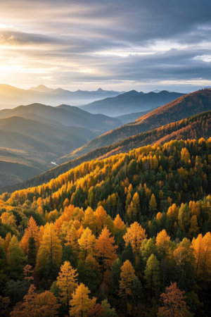 Panoramic view of sunset over autumn mountains and forestsの素材