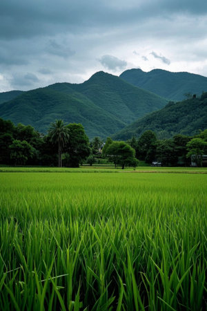 Green fields and distant mountains natural landscapeの素材