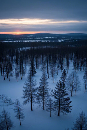 Aerial view of the forest sunrise after the snowの素材